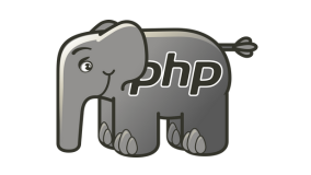 raw php website management